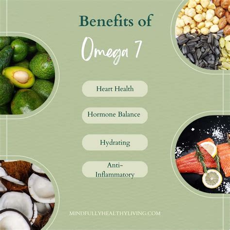 omega 7 supplements canada|omega 7 benefits side effects.